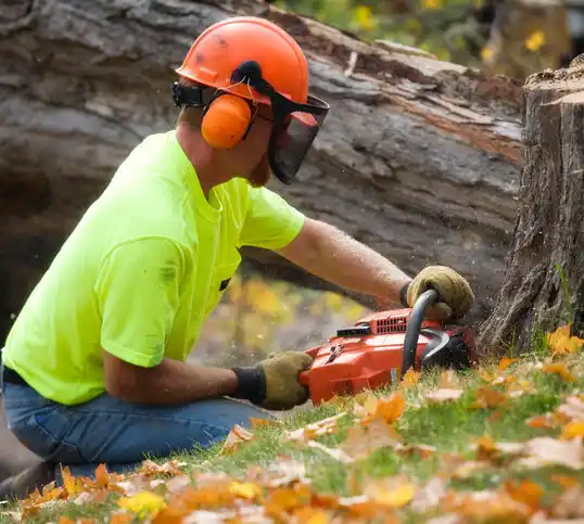 tree services Omaha